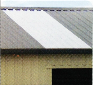 Skylight Sheet for Double Garages (max 2) - To let natural light in to your shed.